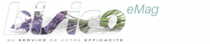 BISICO e-mag